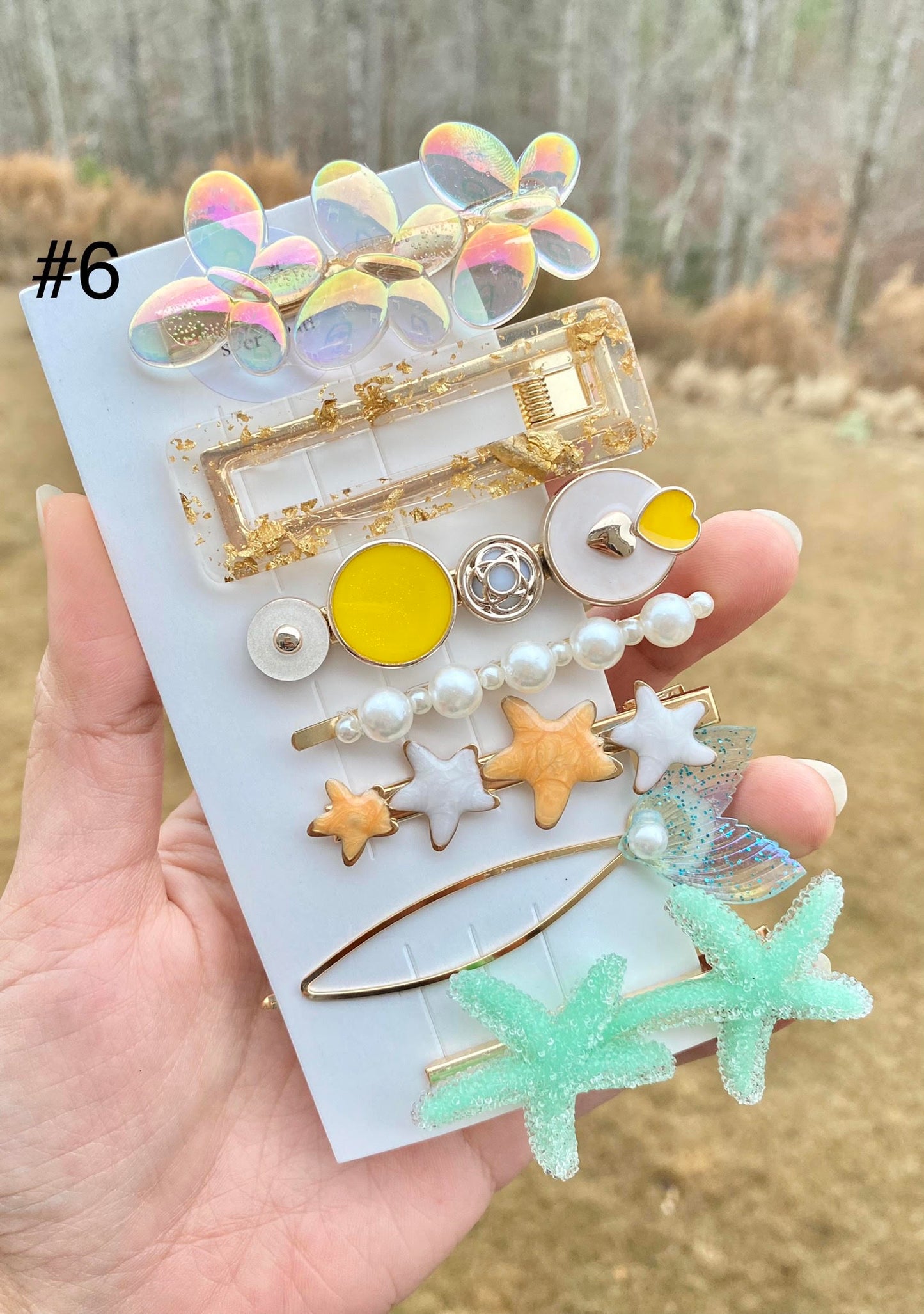 Pastel Resin Hair Barrettes Set