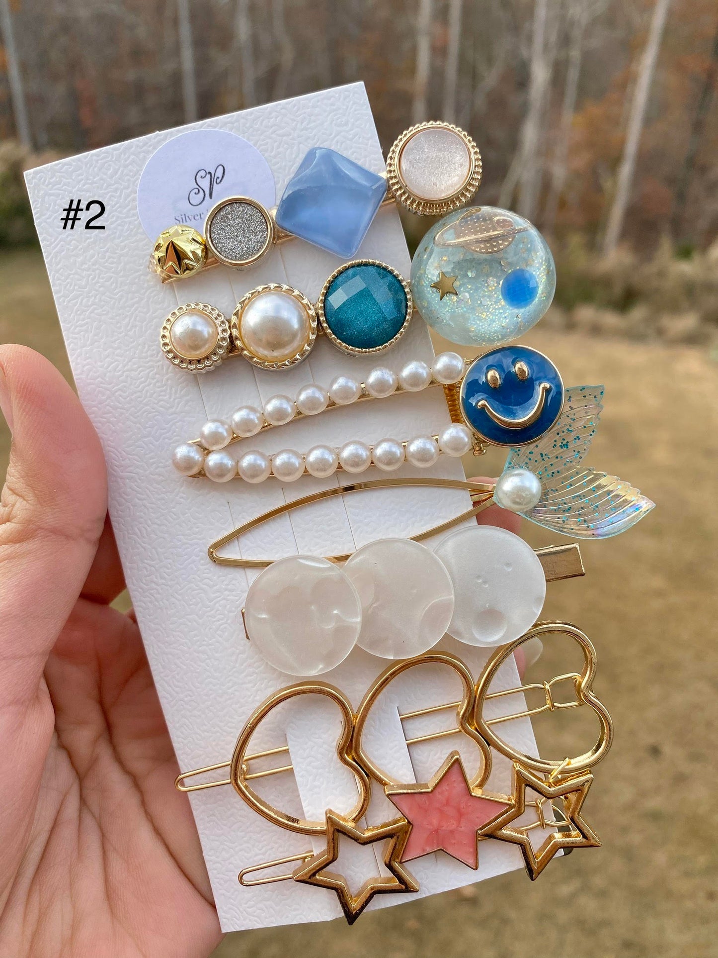 Acryllic Resin Hair Clips Set