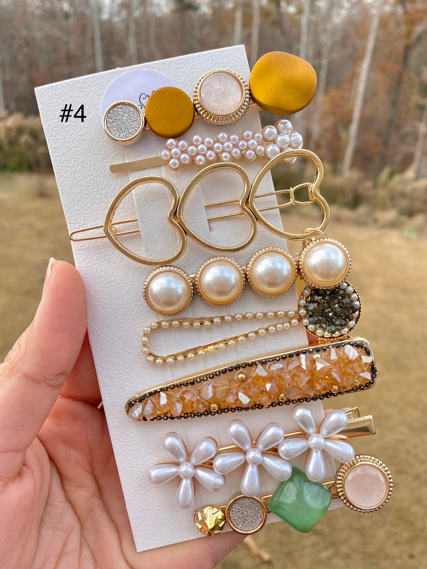 Acryllic Resin Hair Clips Set