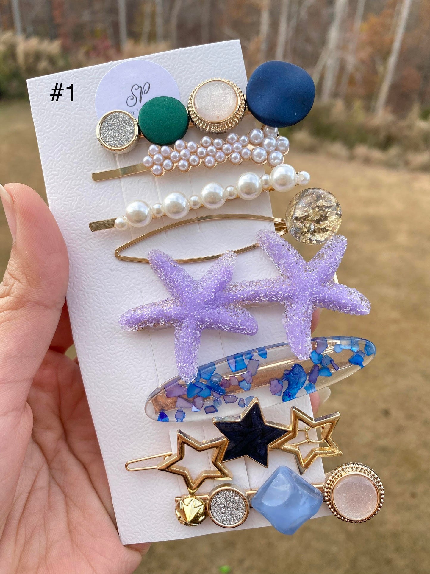 Acryllic Resin Hair Clips Set