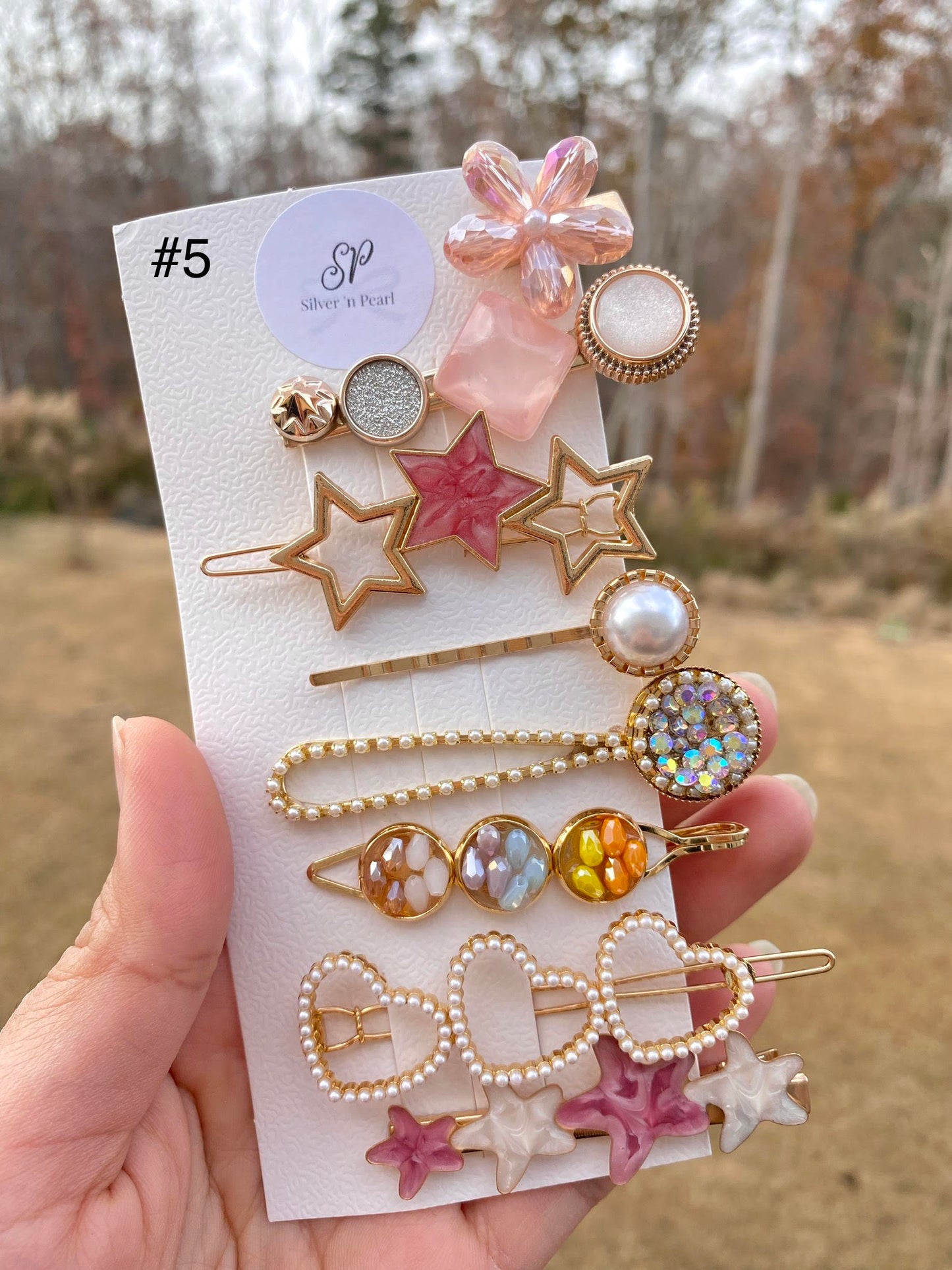 Acryllic Resin Hair Clips Set