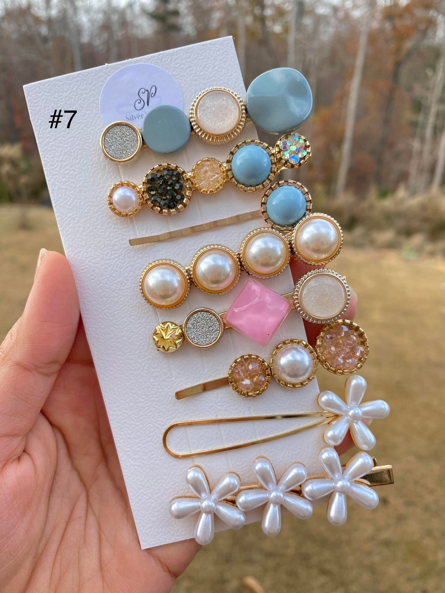 Acryllic Resin Hair Clips Set