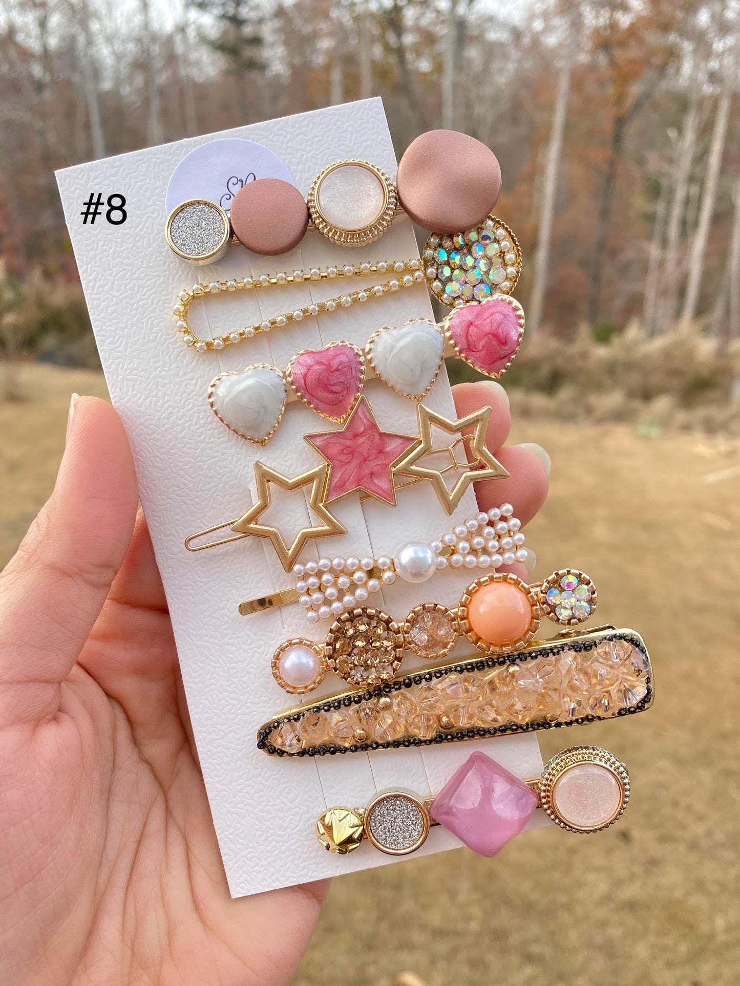 Acryllic Resin Hair Clips Set