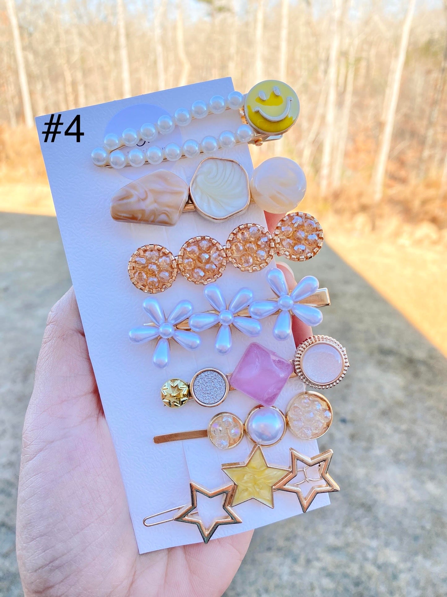 Pastel Resin Hair Barrettes Set