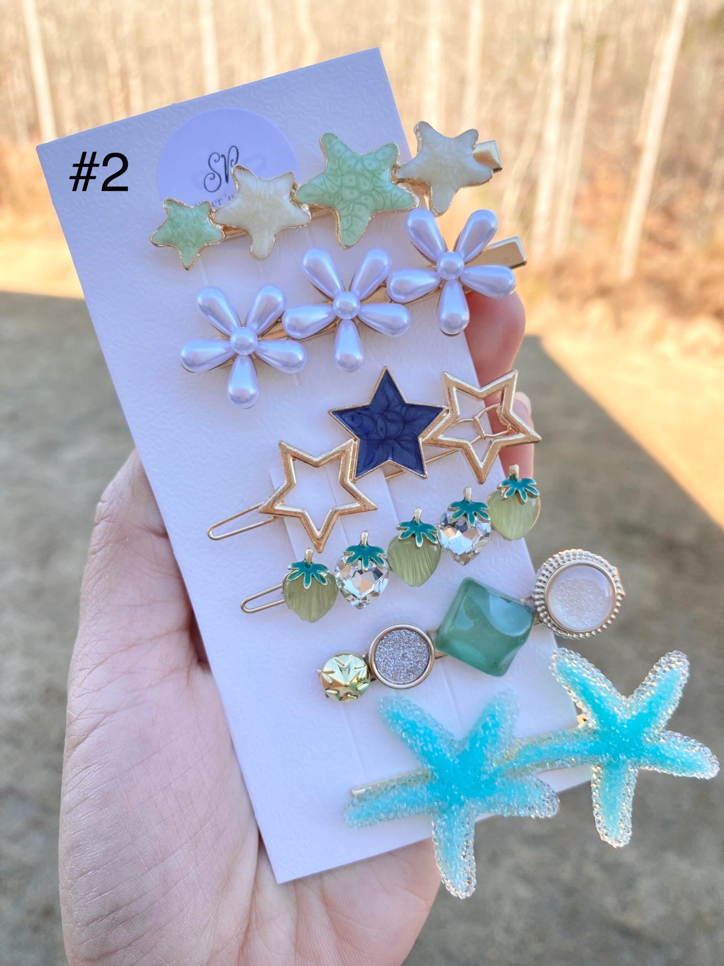 Pastel Resin Hair Barrettes Set