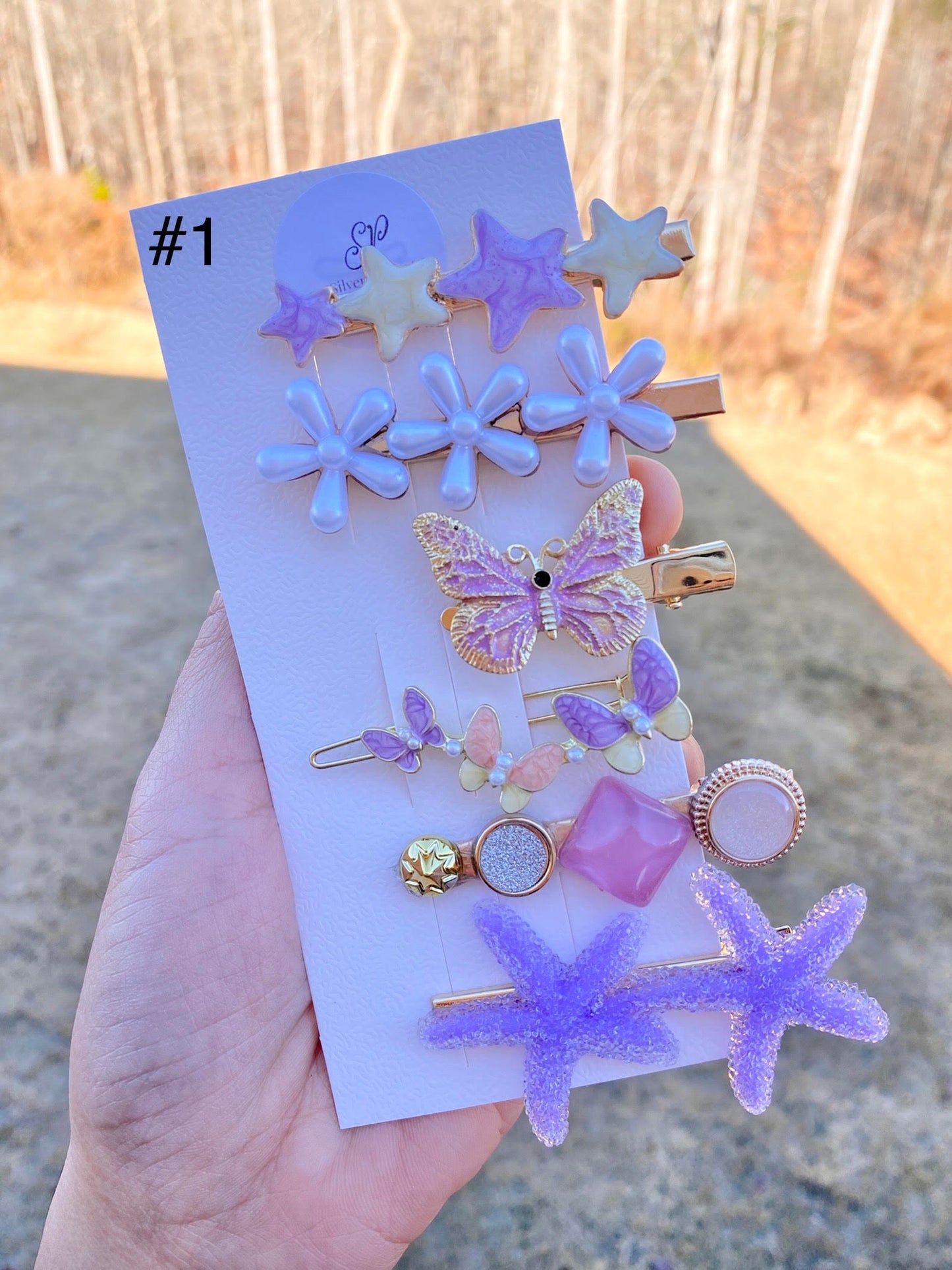 Pastel Resin Hair Barrettes Set