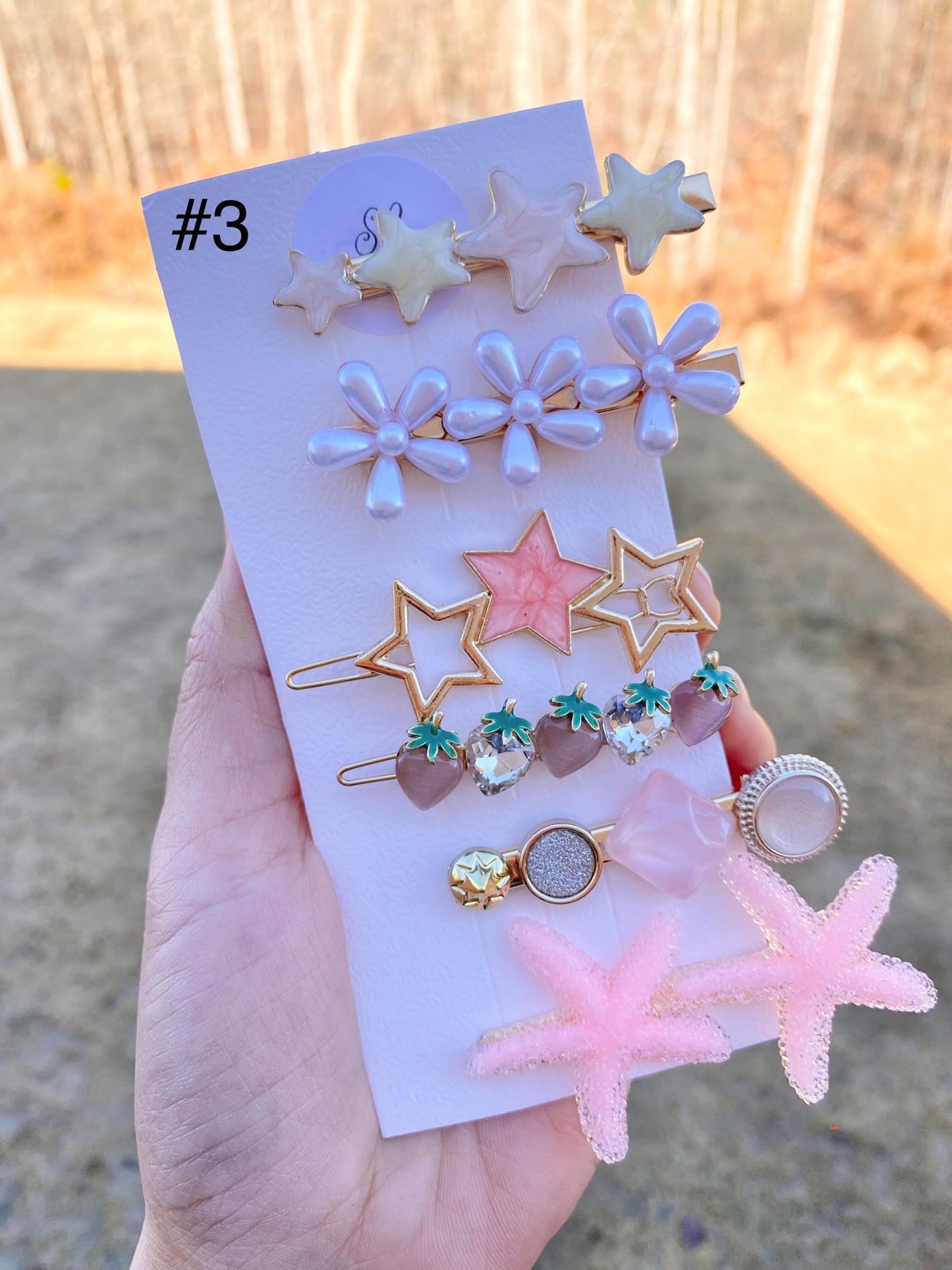 Pastel Resin Hair Barrettes Set