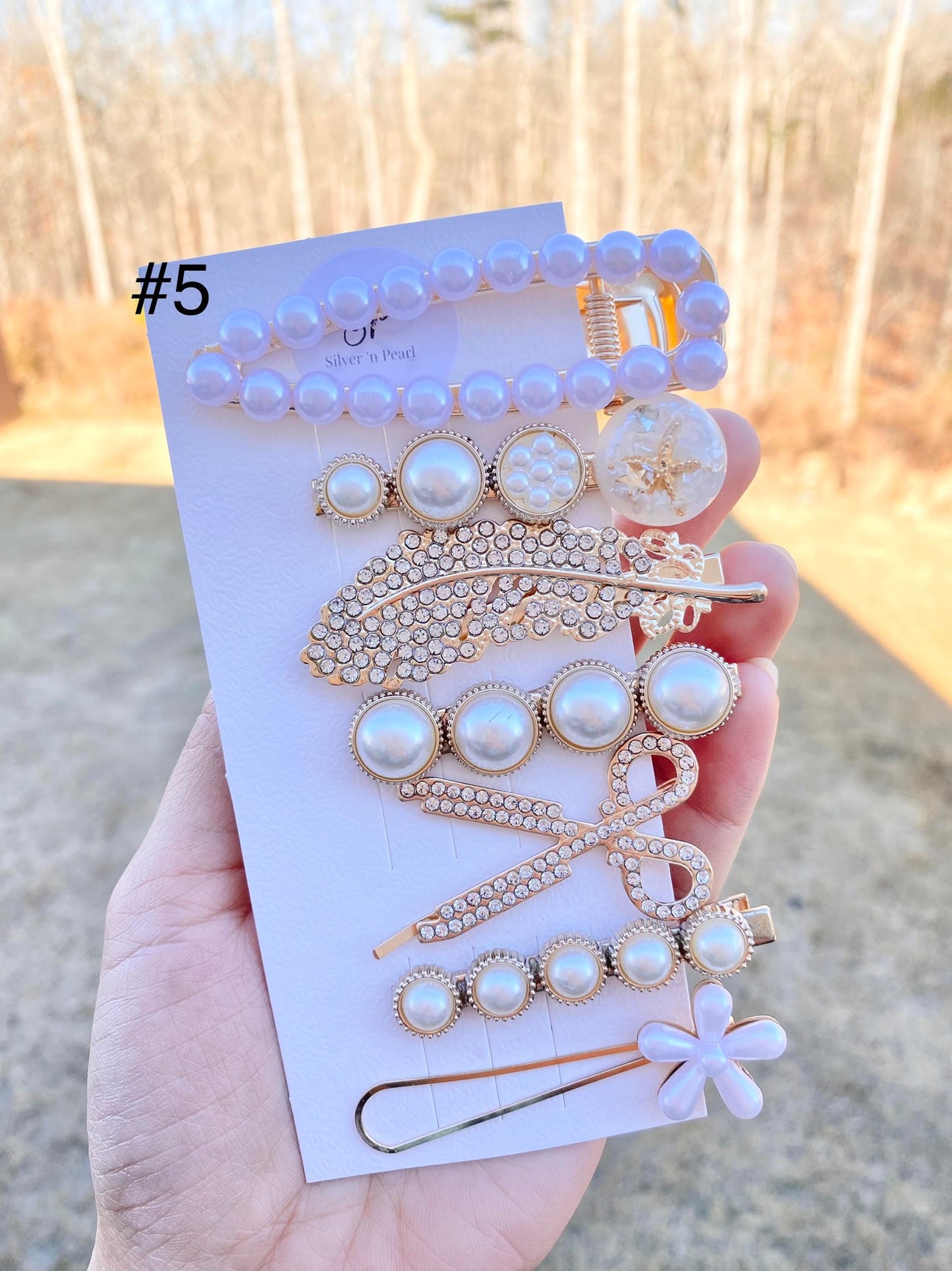 Pastel Resin Hair Barrettes Set